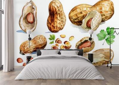 Assorted Peanuts. Watercolor illustration of Organic and Healthy Nut Snacks on White Background Wall mural