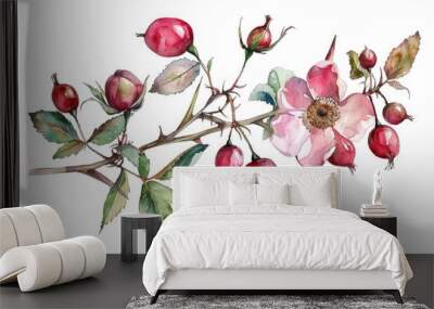 Hand-drawn Watercolor Illustration of Ripe Red Briar Fruit and Rose Flower on a Wild Rose Branch Wall mural