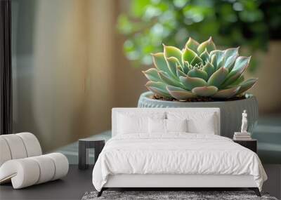 closeup of succulent plant on minimalist desk soft natural light muted color palette zen office atmosphere Wall mural