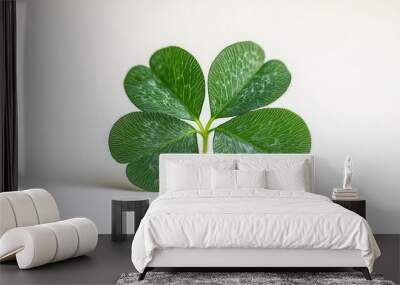 detailed macro shot of perfect fourleaf clover isolated on crisp white background vibrant green hues and delicate leaf structure emphasize luck nature and symbolic meaning Wall mural