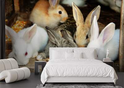 Bunny Rabbits family Wall mural