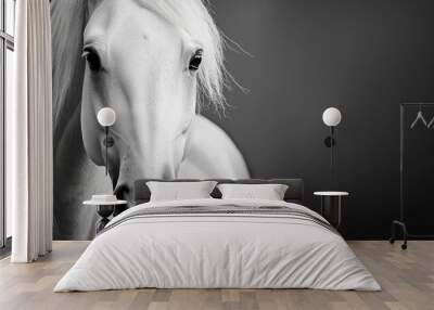 Elegant white horse with a flowing mane against a dark background, highlighting the contrast and grace of the animal. Wall mural