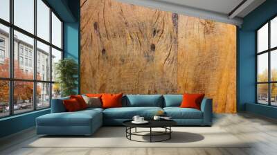 Diverse Wood Texture. Wall mural