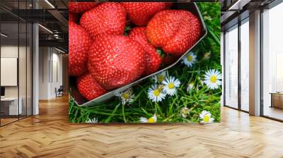 strawberries in the grass Wall mural