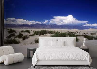 Sand Dunes Wall mural