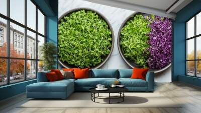 Fresh Green and Purple Microgreens in Twin Ceramic Bowls on Marble Surface Wall mural