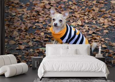 Puppy in Halloween Jumper 2 Wall mural