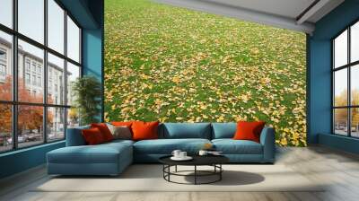 leaves turn to yellow and fall to the grass in park in winter season Wall mural