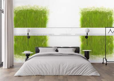 A set of two green grass borders on a white background with clippings for text or image Wall mural