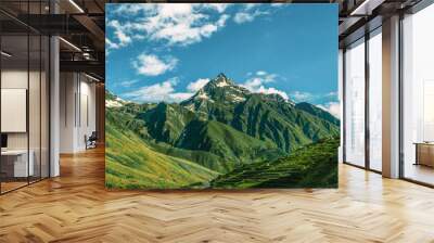 Beautiful green mountain in summer Wall mural