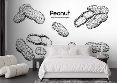 Illustration hand drawn sketch, Set Peanuts on white background, outline monochrome ink style for artwork, logo, packaging vector eps10. Wall mural