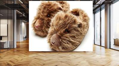 Beautiful Whack a Mole Plush Slippers isolated on white background  Wall mural