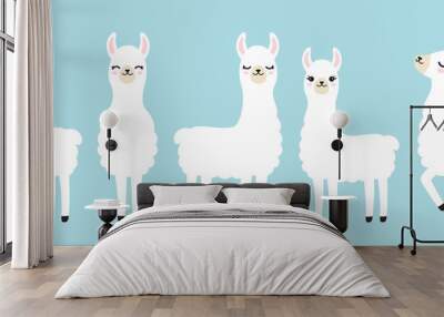 Vector illustration set of cute white llama in different postures. Wall mural