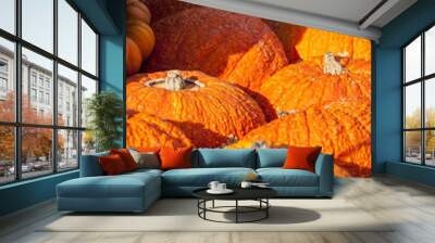 Halloween big Halloween cucurbita pumpkin pumpkins from autumn h Wall mural