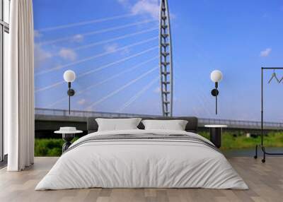 bridge lasso bracket Wall mural