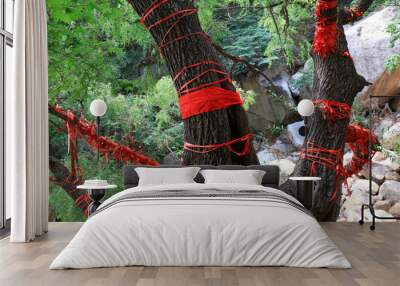 Old willow with red silk twined around its trunk Wall mural