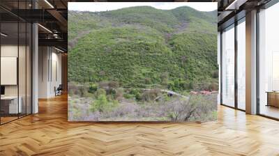 In the spring, the trees on the hill turned green and bloomed. Only the walnut tree has no leaves yet. At the top of the hill is a village. And on the Western side of the gorge there are bare bushes Wall mural