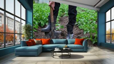 Close-up of gardener's boots and shovel ready to dig soil among green plants Wall mural