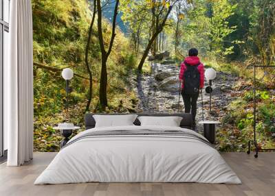 Autumn morning scene. Woman with backpack hiking on footpath in autumn forest. Solo female tourist outdoors. Light and shadows. Wall mural