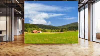 Rural landscape with field, trees, grass and mountains in the background. Ecologically clean area with blue sky and clouds. Beskids mountains in the summer, Poland. Wall mural