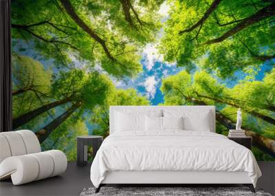 A breathtaking view looking up at lush green tree canopies against a bright blue sky dotted with white clouds. Wall mural