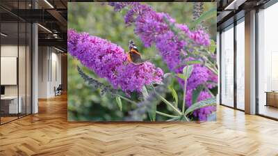 A butterfly sitting on summer lilac Wall mural