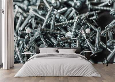 Galvanized screws with a semicircular head and a cross-shaped slot and a washer on a dark background. Close up Wall mural