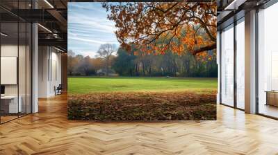 A park with a large tree in the foreground and a soccer field in the background Wall mural