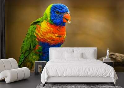 lori lorikeet Wall mural