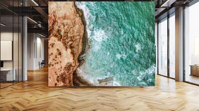 Aerial shot of rocky wavy seacoast in the daytime Wall mural