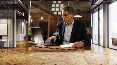 Businessman working with laptop at office. Businessman sitting at office desk working on laptop computer.. Wall mural