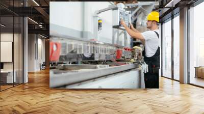 Portrait of worker in factory Wall mural