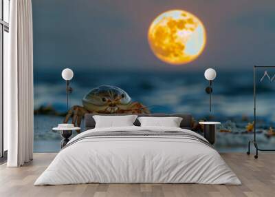 As the moon rises higher in the sky the sandy beach comes alive with movement. A scavenging crustacean stles along the shoreline its . . Wall mural