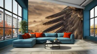 Closeup of a vultures feathers ruffled by the wind as it circles gracefully over the barren landscape. Wall mural