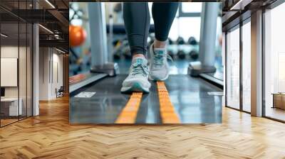 In the physical therapy room a patient is seen exercising with the help of a the. The room is equipped with different equipment and tools to aid in pain relief such as hot Wall mural