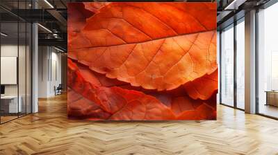 Texture of a vibrant orange leaf with a velvety smooth surface and delicate wrinkles. Wall mural