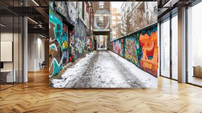 Graffiti Alley Toronto Wall mural