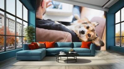 A man working at home during home office with a red and happy welsh corgi pembroke dog Wall mural