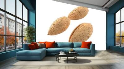 Two Almonds in Shell Wall mural