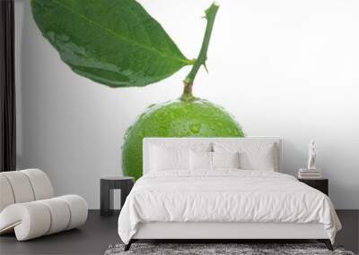 Lime with branches and leaves isolated on white background. Wall mural