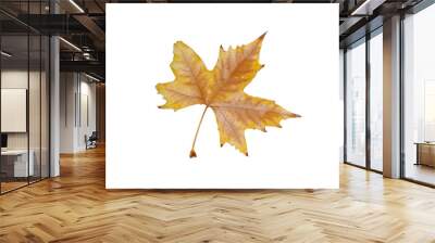 Autumn leave Wall mural