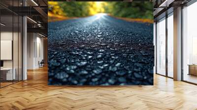 Asphalt with sand traces texture with small particles of sand, giving asphalt rudeness and natur Wall mural