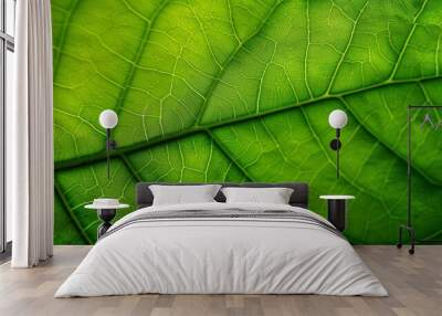 Colorful macro foliage leaf vein texture background, abstract natural texture colorful banner. Wall mural