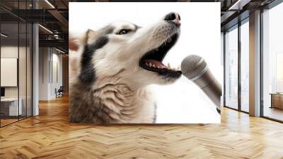 Devoted husky dog singer howling and singing to a microphone isolated on white background, funny animal portrait, singer, creative, karaoke, party and greeting cards. Wall mural