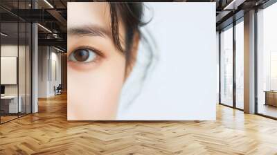 Eyes. Closeup of beautiful asian woman with brown eyes make up eye shadow Wall mural