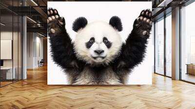 Happy funny panda hands up isolated on white background, concept of celebration, happiness, hooray, cheer up. Wall mural