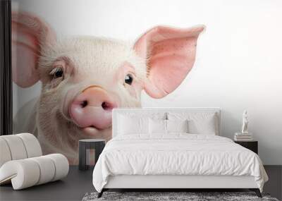 Portrait of a cute happy pig isolated on white background, concept of happy farm, healthy life, funny animal portrait on white background. Wall mural