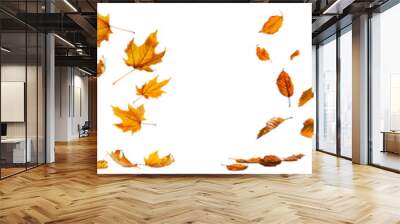 autumn leaves flying or floating isolated on transparent background. autumn leaves blown by the wind Wall mural