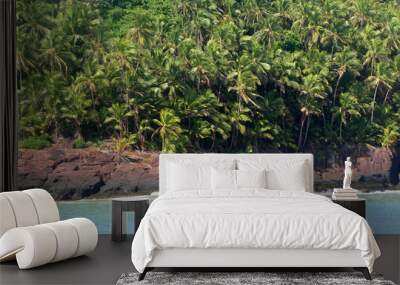 A beautiful view of Royal Island rocky beach  and palm trees in French Guiana Wall mural