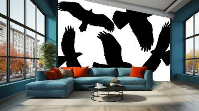 birds of prey silhouette in black on white background Wall mural